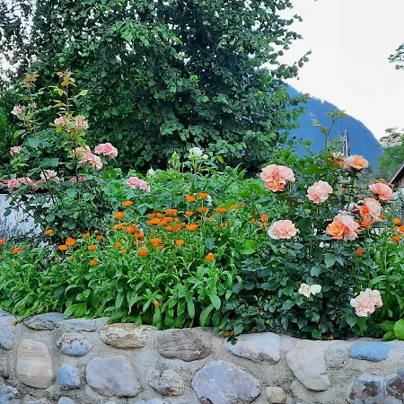 Spitzenhof - Urlaub Am Bauernhof Apartment Mooslandl