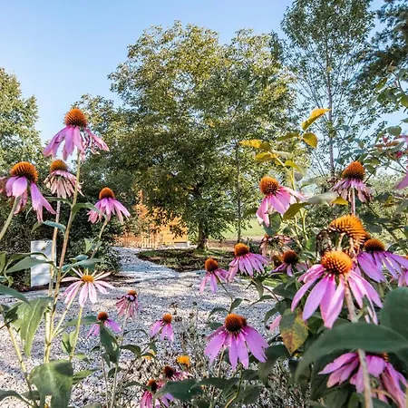 Appartement Spitzenhof - Urlaub Am Bauernhof Mooslandl