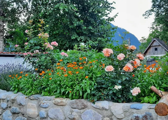 Spitzenhof - Urlaub Am Bauernhof Appartement Mooslandl